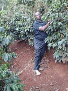 CEO Coffee Picking