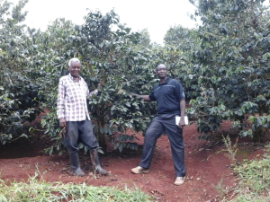 Wilson and Mzee